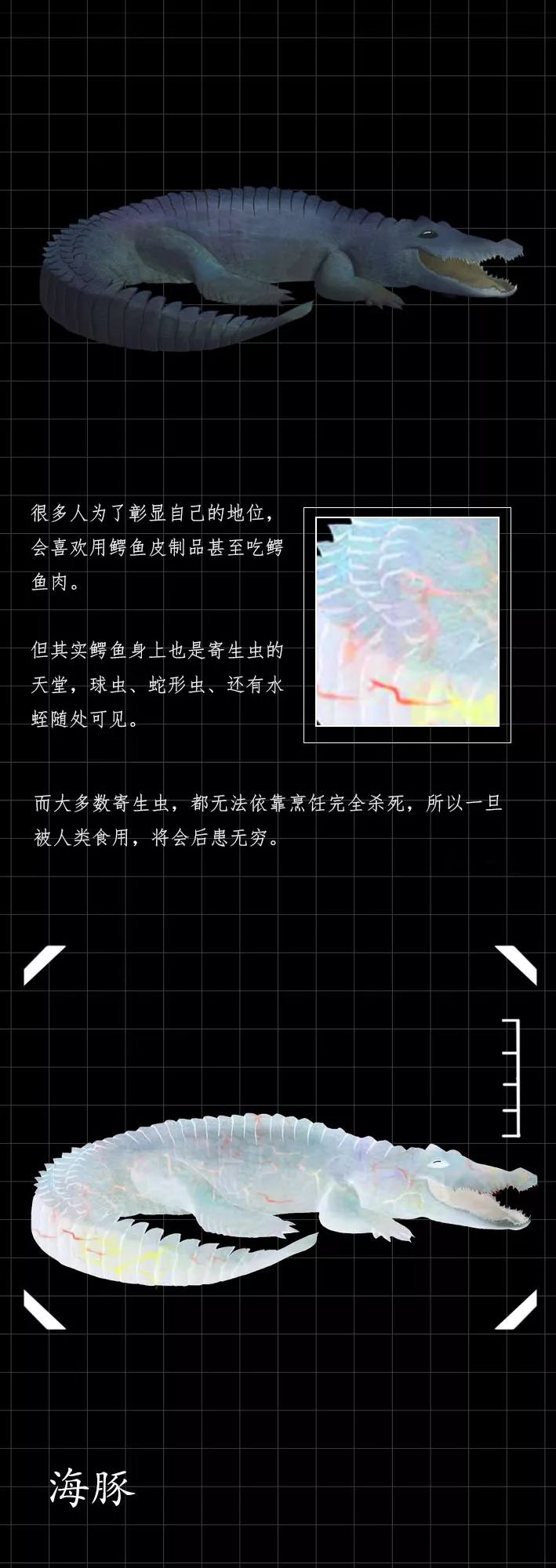 隐藏的「病毒携带者」曝光（赶紧举报）