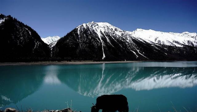 西藏昌都市美丽的然乌湖,湖水与雪山,蓝天相互映衬,景色如画.