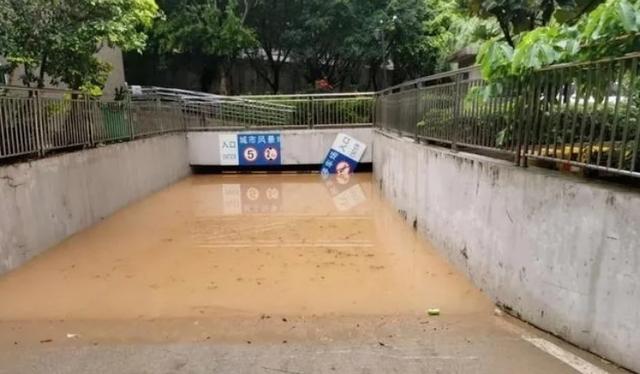 二手车销售：日系车比大众更保值！车主坐不住了