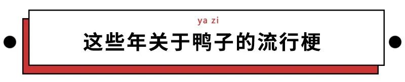 浙江10万只鸭子上热搜后，炸出一大批中国鸭迷