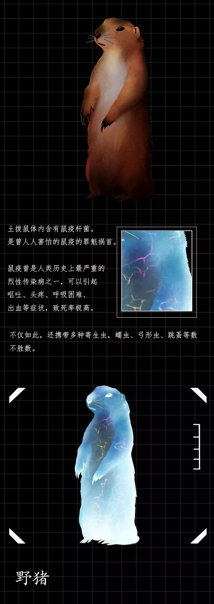 隐藏的「病毒携带者」曝光（赶紧举报）