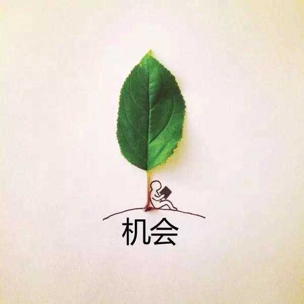 机会,只青睐有准备的人__凤凰网
