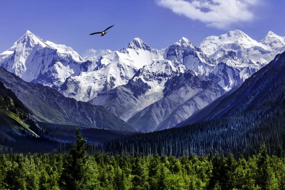 俯瞰雪山夏塔