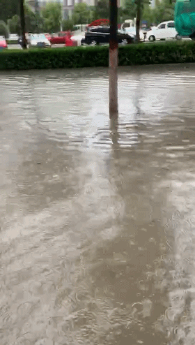 天天发 暴雨预警 再这么一直下雨 小编都没新词儿了 从n日到今天 我市