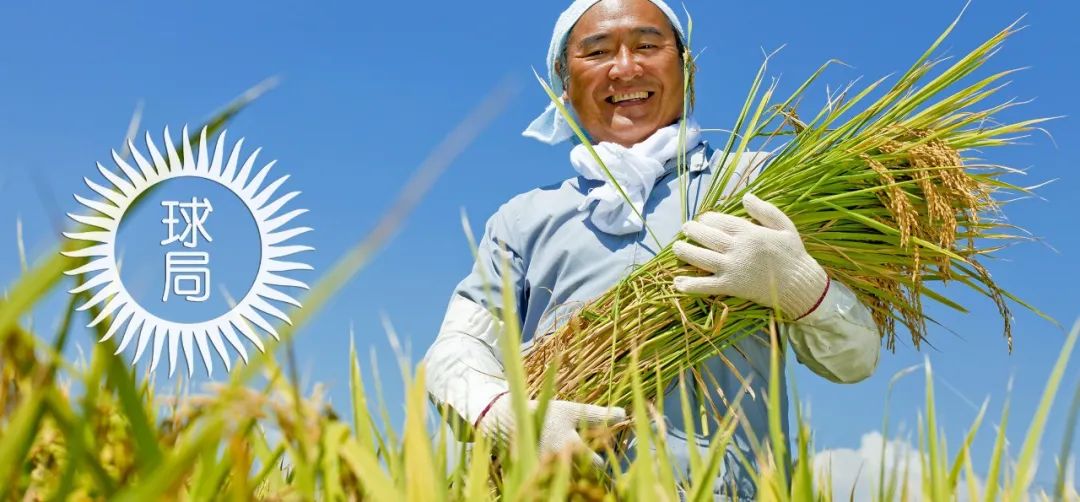 日本，搞过土改么