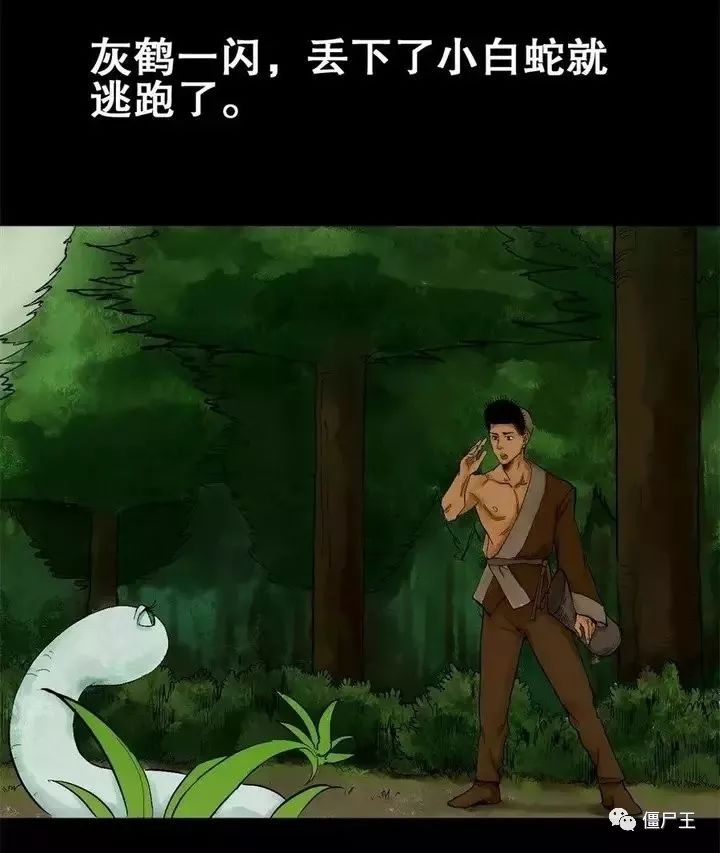 僵尸王漫画:猎人海力布的传说