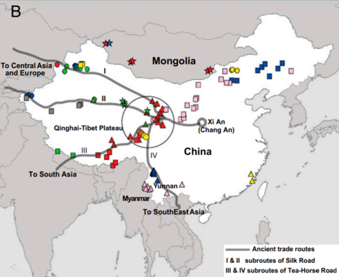 重塑人类历史的鼠疫,到底来自哪里|大象公会