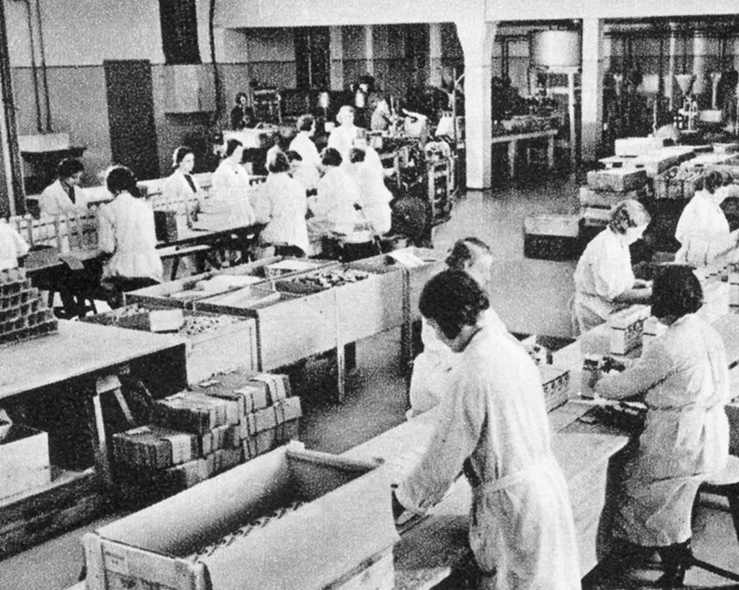 德军，沉迷吸毒不能自拔 | 地球知识局