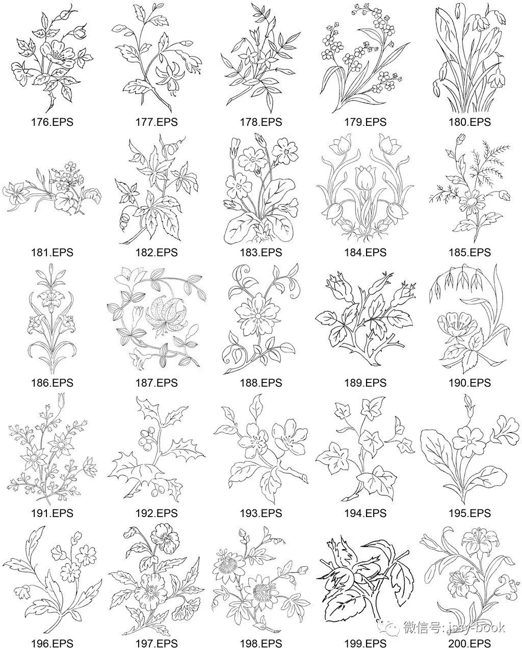 中式白描花卉植物花朵花纹绘画参考