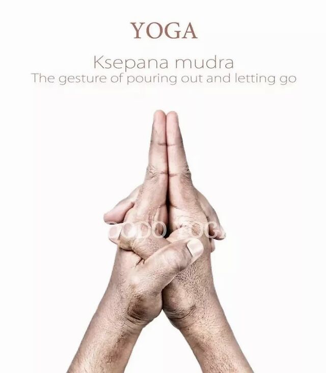 mudra | 经典瑜伽手印