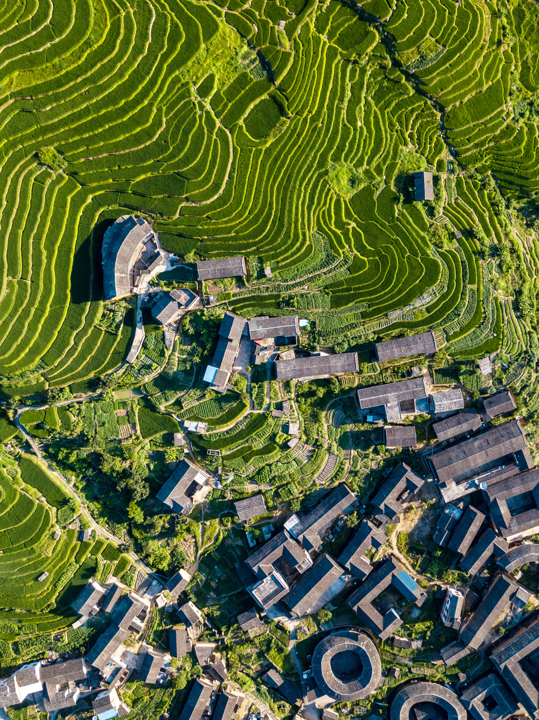 什么是“福建八闽”？| 地球知识局