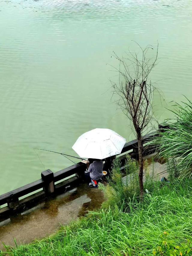下雨天剑阁下寺最美的风景,有时间一定去看看,能让你心旷神怡!