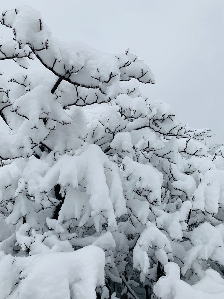 巩义南山雪后出现雪凇奇观 玉树琼枝宛若童话世界