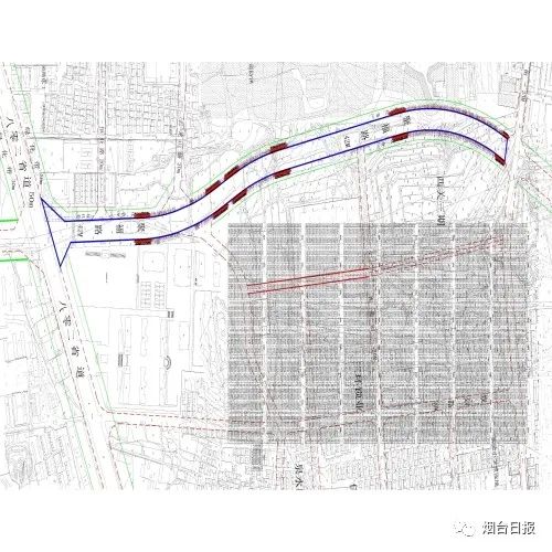 道路全长约1500米,规划红线宽42米,两侧各18米绿化带(道路纵横断面等