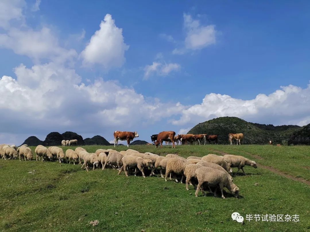 美若梦境!在毕节这里