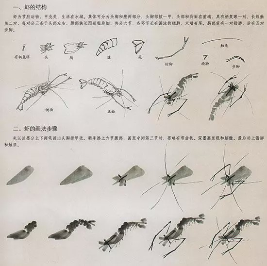 中国国画花鸟技法几种虫儿的画法