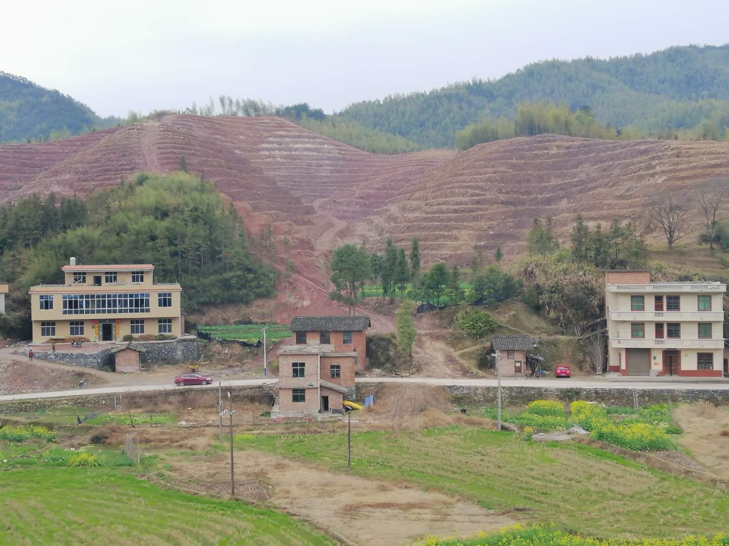 一手抓防疫 一手抓生产|衡阳县金溪镇:春耕正当时,种植油茶忙