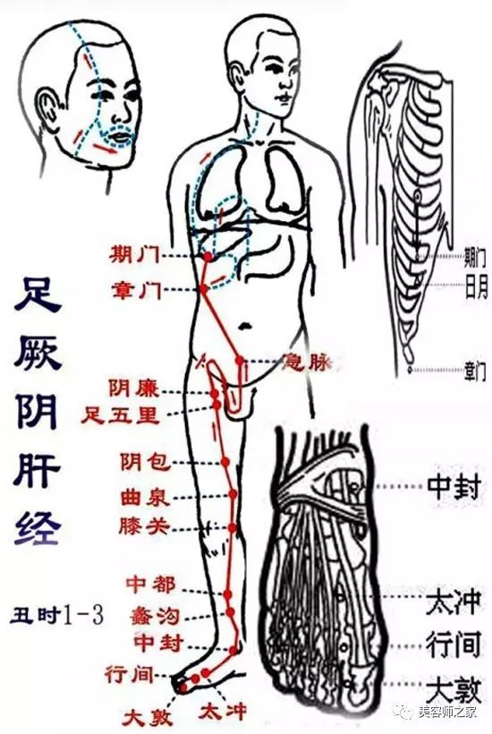 为什么养生就一定要疏通经络?