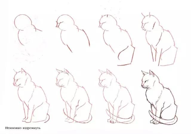 【cg原画插画教程】50个猫的画法,人人都能学会的简笔