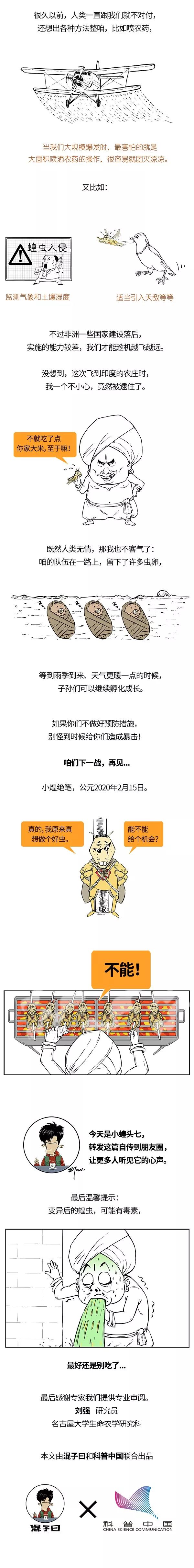 被嫌弃的蝗虫的一生