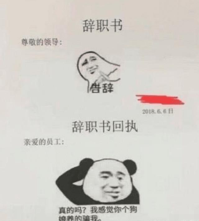 绝对是非常洒脱的人,而且好像对公司也没什么怨气,只是想辞职就辞职了