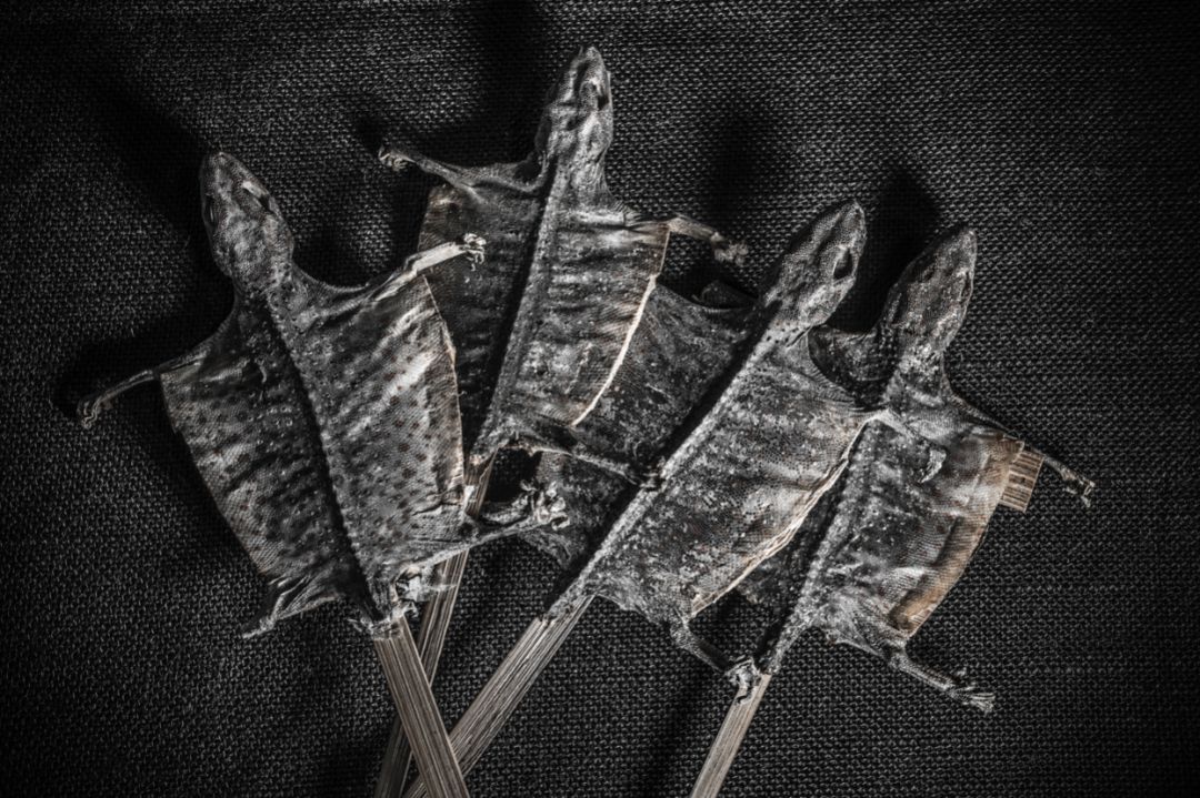 那些因人类的迷信娱乐贪婪，给野生动物带来的苦难