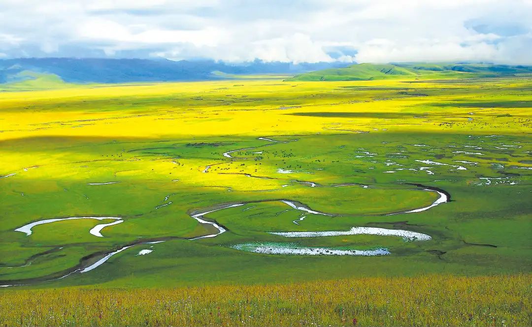 甘南州玛曲县天下黄河第一弯国家aa级旅游景区.