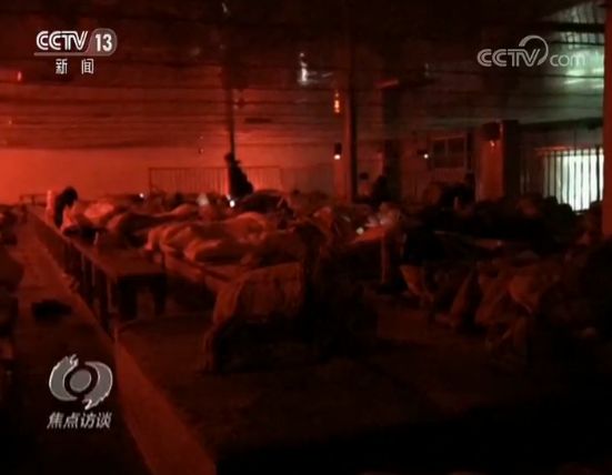 偷拍长途客车司机宰客：天价收费背后是一条产业链