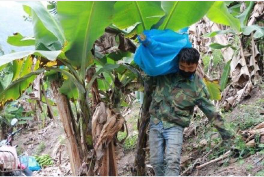 疫情之下，15个普通人的故事