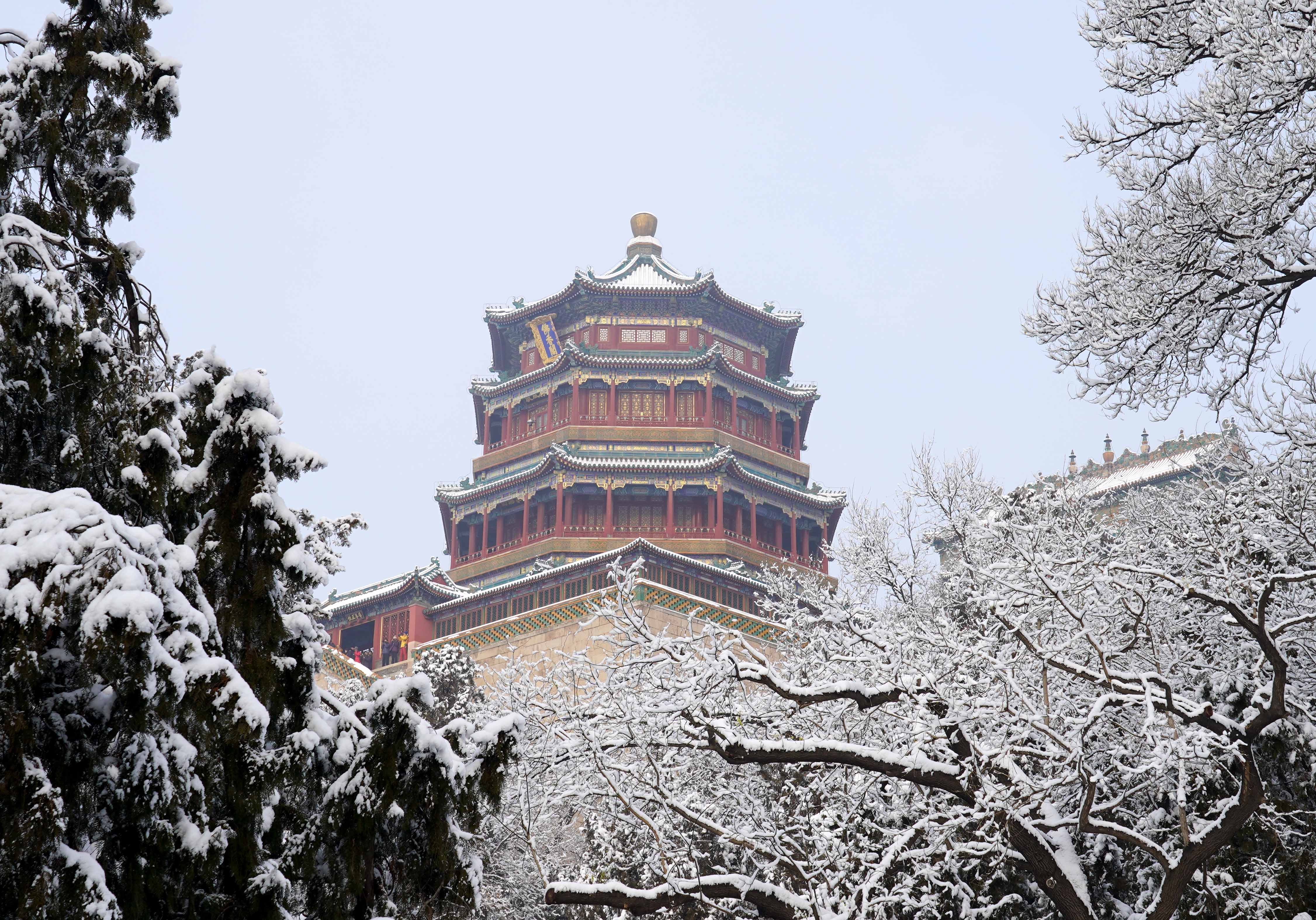 1月6日拍摄的颐和园佛香阁雪景.