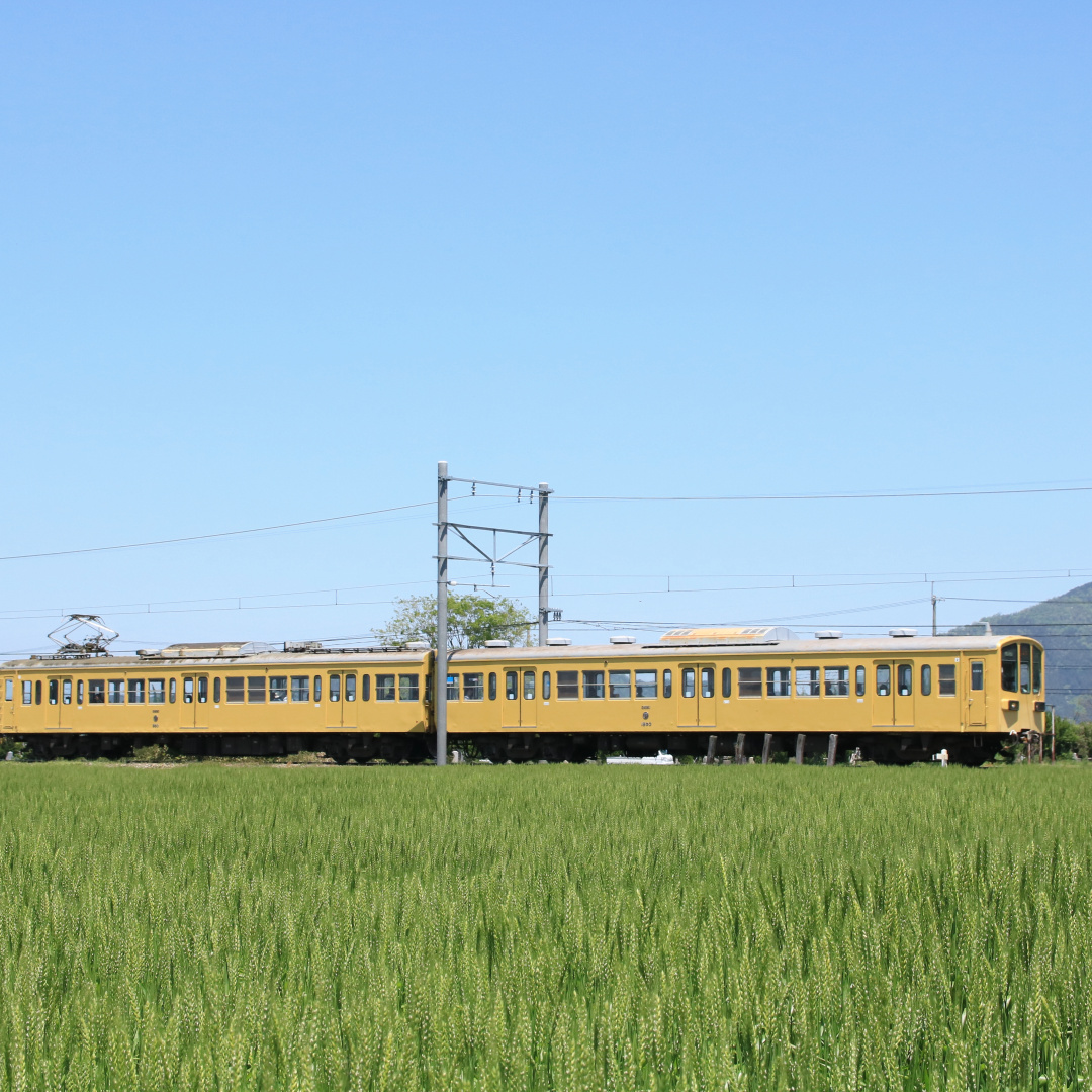 日本，搞过土改么 | 地球知识局