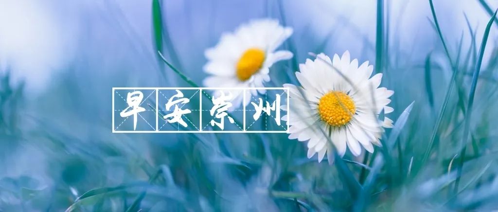 早安崇州 | 崇州一季度商贸业统计数据出炉_大风号