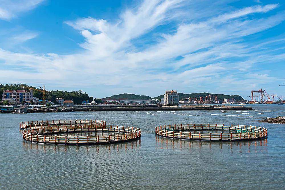 这个地方的美再也藏不住了!快来威海东浦湾海水浴场感受大海的魅力