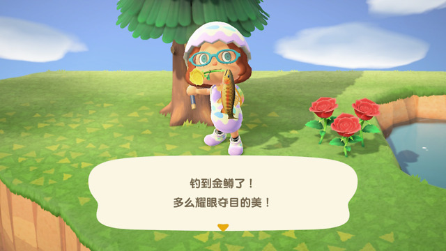 鲈鱼,大头菜,狼蛛