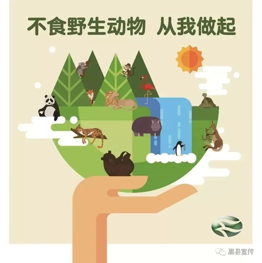 2月24日起,全面禁止食用野生动物!这些规定须牢记