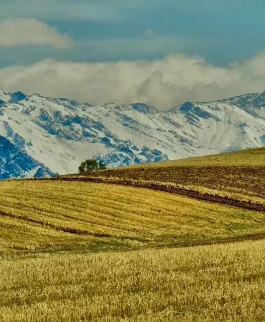 如果可以，一定要去新疆走一走，体会它的千种风情，万种风光（最新发布）