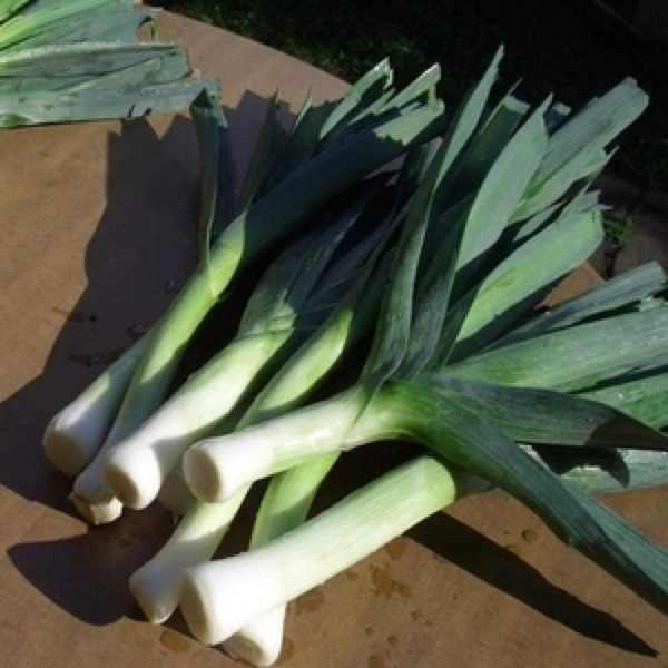 蒜黄韭黄、蒜苗蒜薹，难倒多少上街买菜的大老爷们