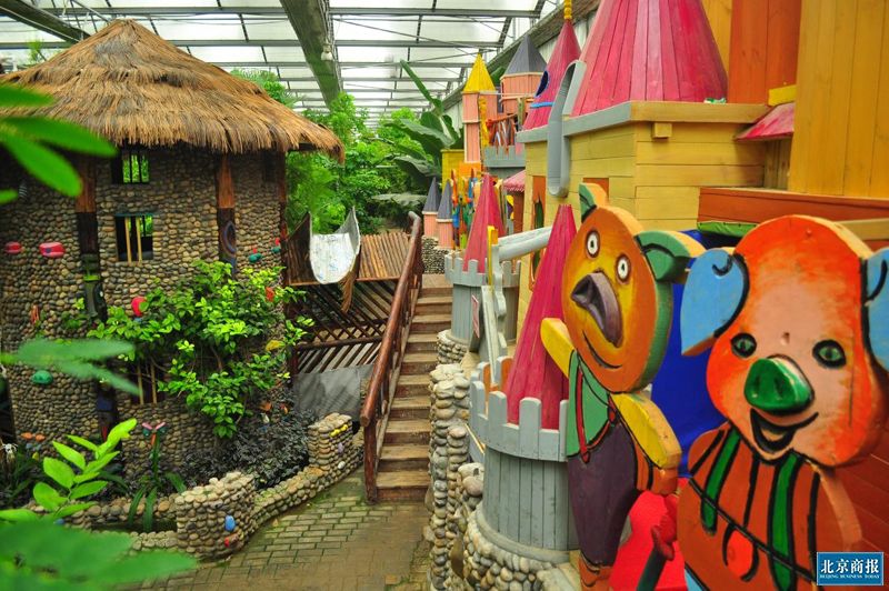大兴呀路古热带植物园4月29日恢复开园