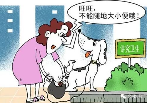 谁想踩中"狗屎运"?