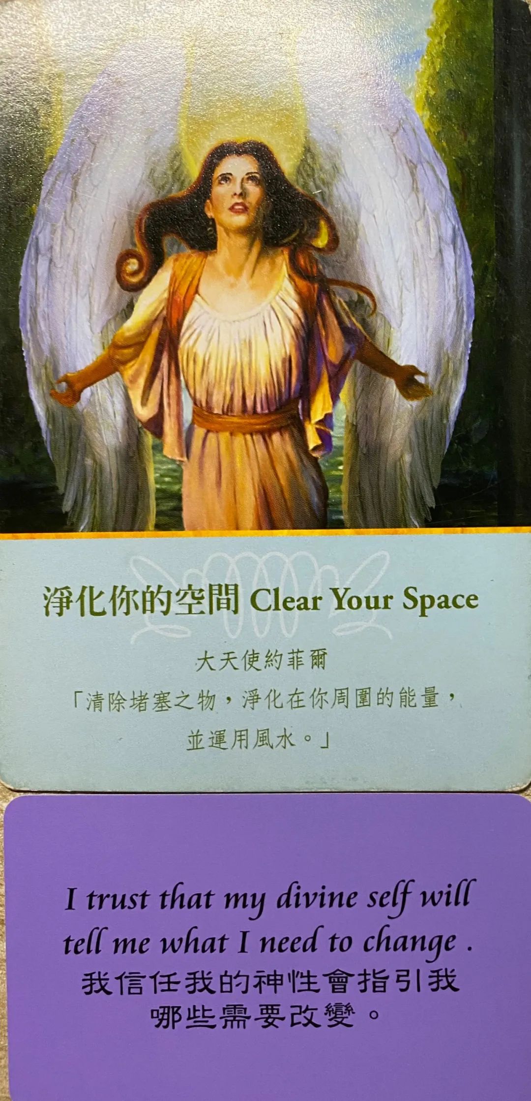 选择3:净化你的空间