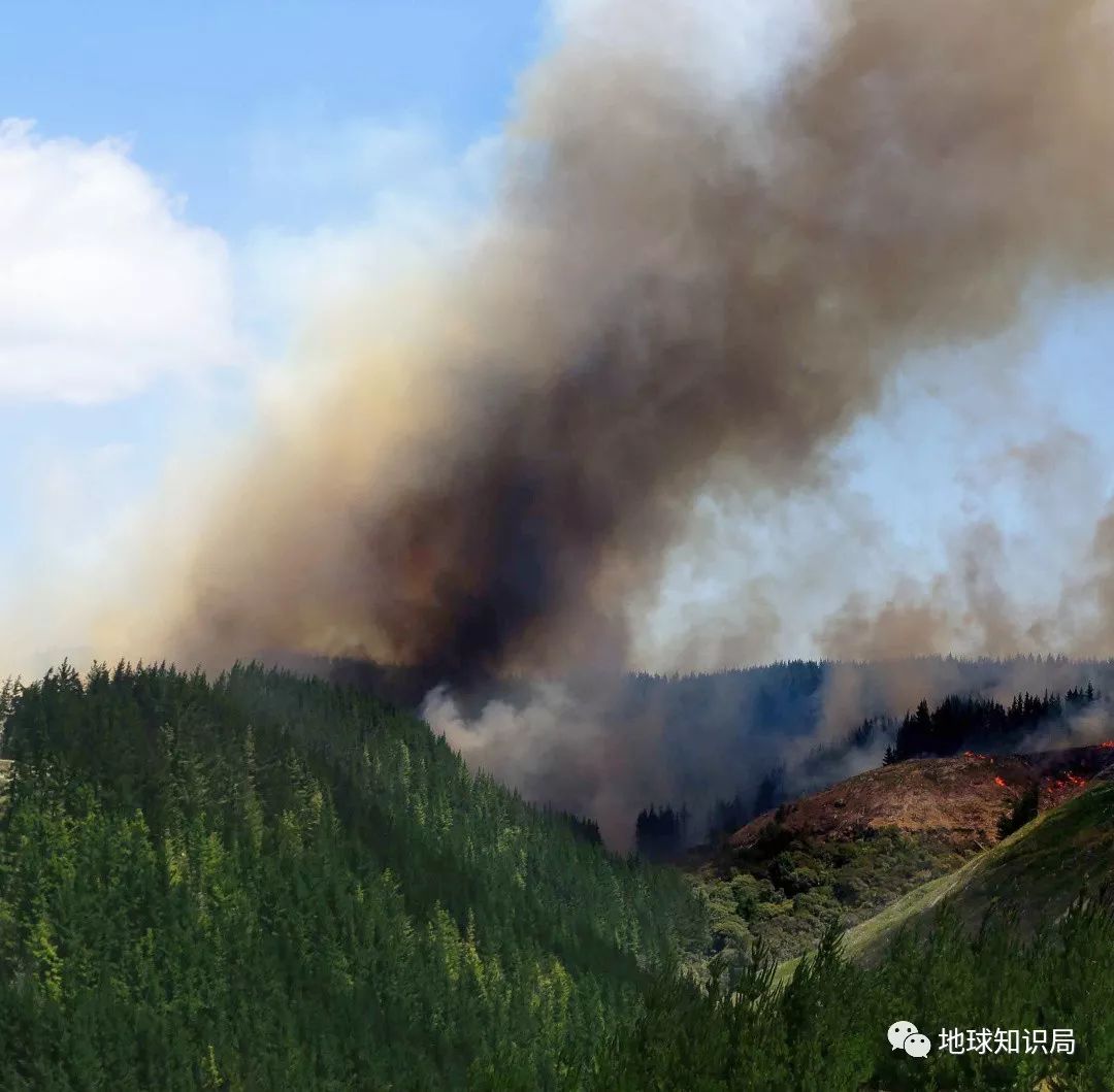 澳洲大火烧了4个月后，新西兰也着火了