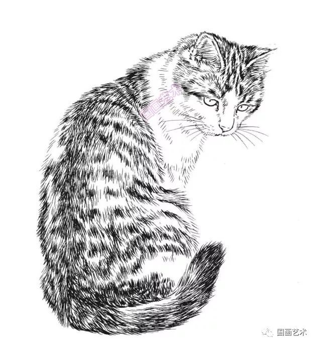 书画联盟丨白描百猫画谱选页欣赏