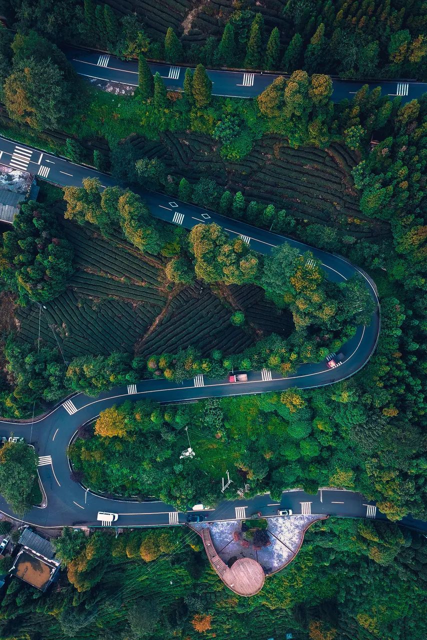 为什么中年人对各种茶欲罢不能