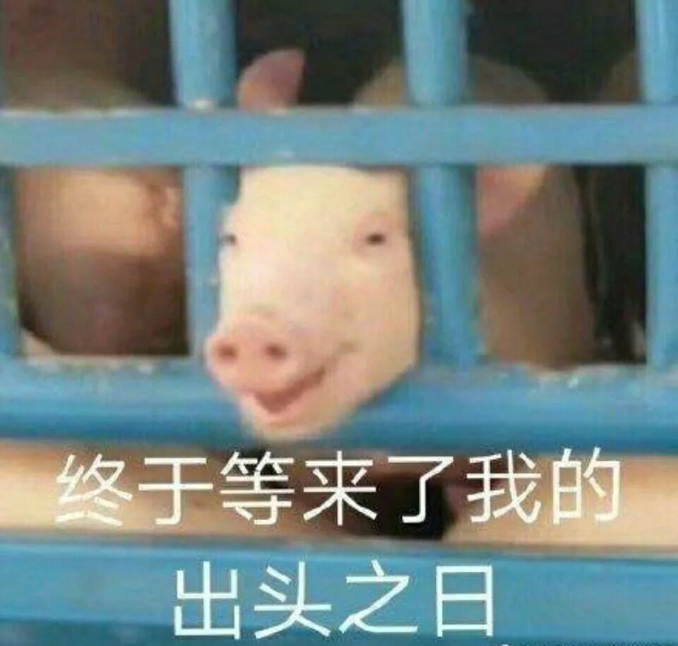 恶搞香菜徒手推楼海里熨衣有人能管管这帮野老外吗