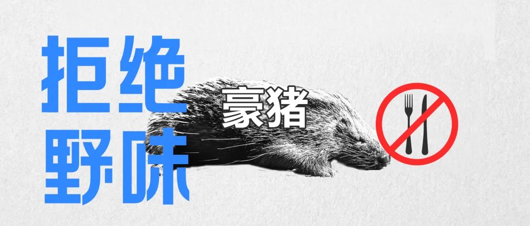 全网最热搜的7种“野味”，请别再祸害它们了