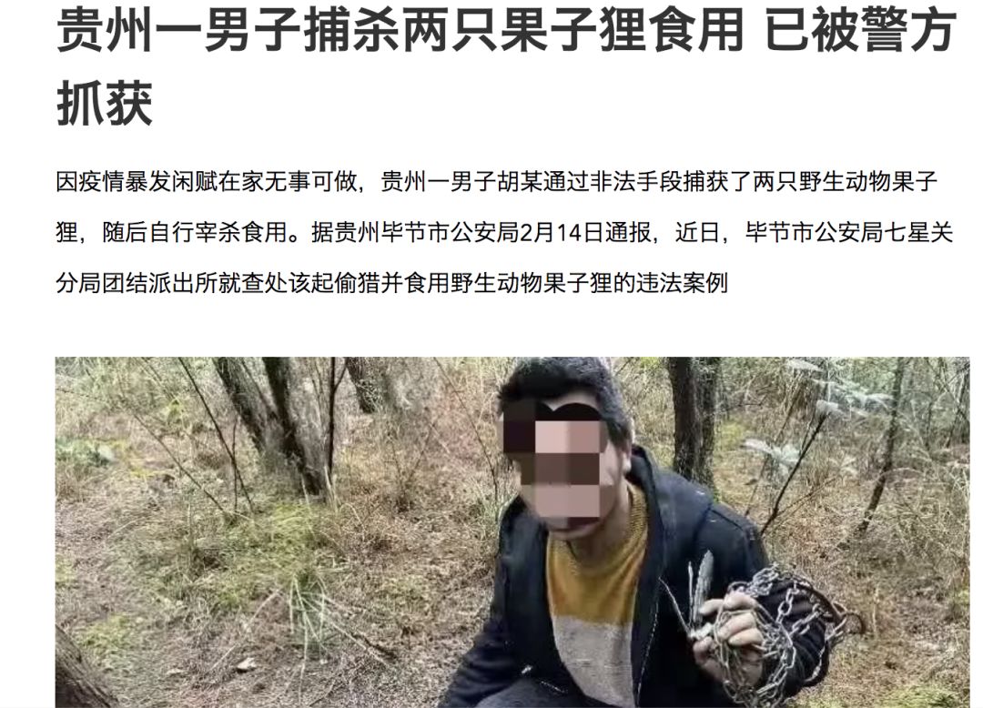 全网最热搜的7种“野味”，请别再祸害它们了