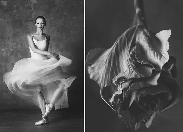 10组黑白照片,诠释了舞蹈女孩如花般绽放的样子,真是美极了