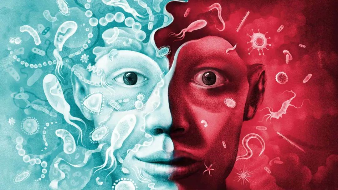 你的恐惧和肠道微生物有关