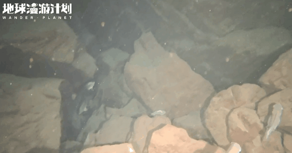 中国的水下，藏着多少不为人知的秘密？