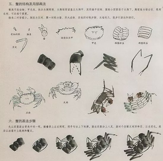 中国国画花鸟技法——几种虫儿的画法